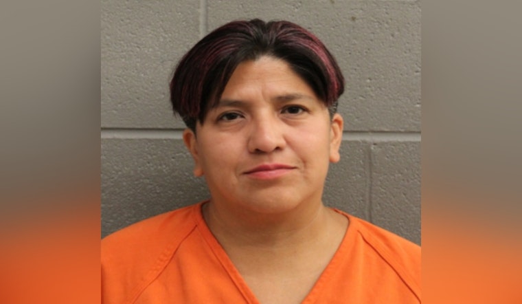 Precinct 4 Law Enforcement Cracks Down on Drunk Driving, Nicole Wyatt Charged with DWI