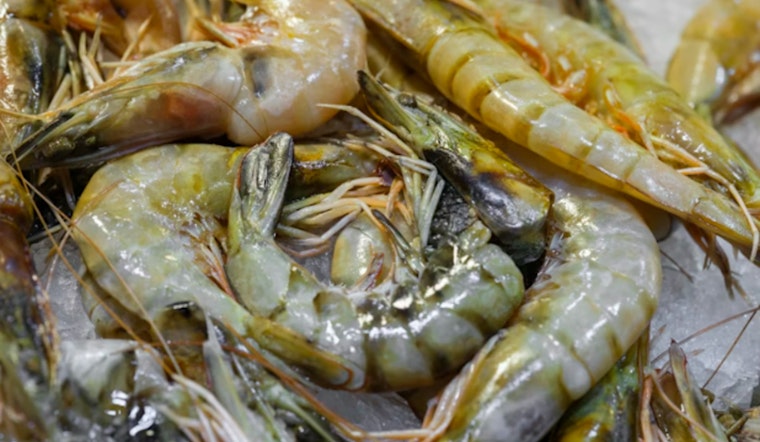 Radioactive Shrimp Shockwave, Over 85k Packs Pulled from Stores Amid Cancer Risk Fears