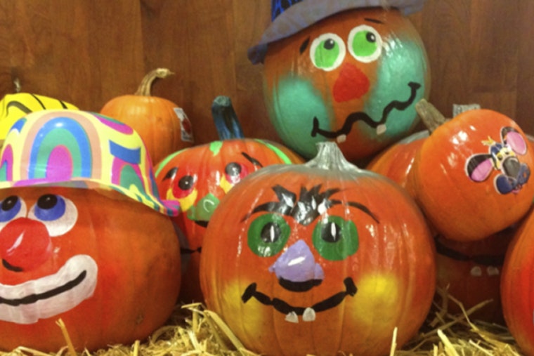 Raleigh's Brier Creek Park Hosts Pumpkin N' Smore Night for Local Families