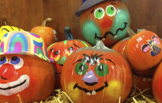 Raleigh's Brier Creek Park Hosts Pumpkin N' Smore Night for Local Families