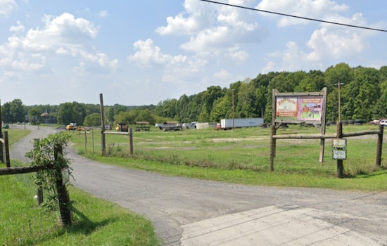 Residents Alerted as Capuchin Monkey Eludes Capture in Troutman, Iredell County Urges Caution