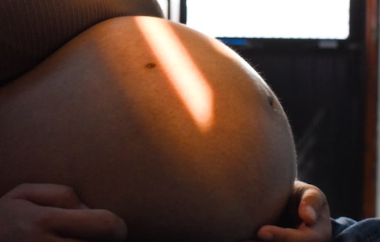 Revolutionary 3D Fetal Imaging Unveiled by MIT, Boston Children's Hospital, and Harvard Team
