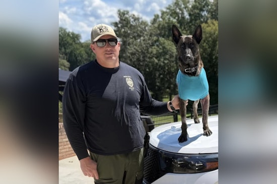 Rock Hill Community Celebrates as Injured Service Dog Apollo Returns Home Following Medical Treatment