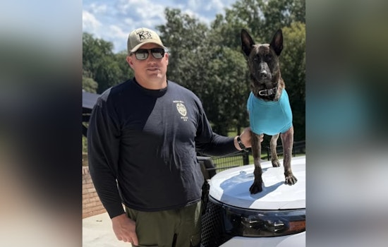 Rock Hill Community Celebrates as Injured Service Dog Apollo Returns Home Following Medical Treatment