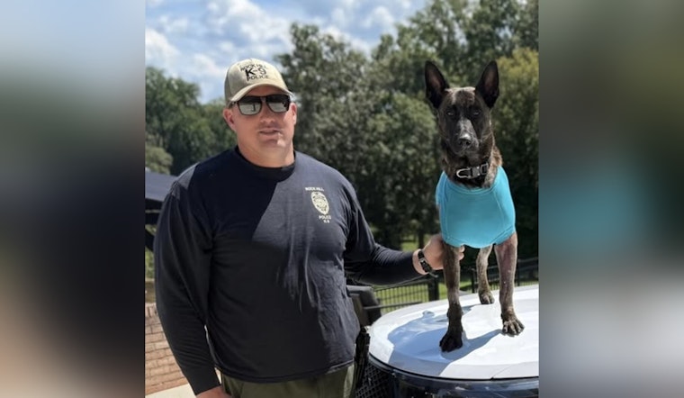 Rock Hill Community Celebrates as Injured Service Dog Apollo Returns Home Following Medical Treatment