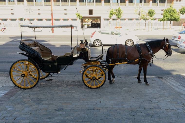Runaway Central Park Carriage Horse Incites Safety Concerns and Debate Over Historic NYC Practice