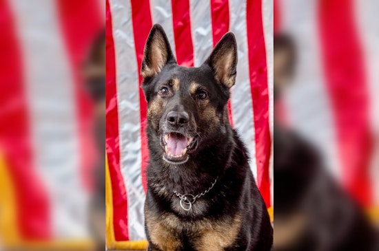 Rutherford County Mourns the Loss of Beloved K9 Officer Appie