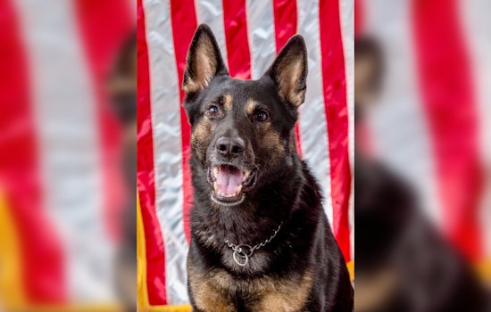 Rutherford County Mourns the Loss of Beloved K9 Officer Appie