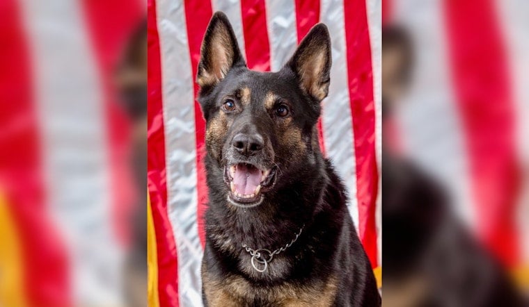 Rutherford County Mourns the Loss of Beloved K9 Officer Appie