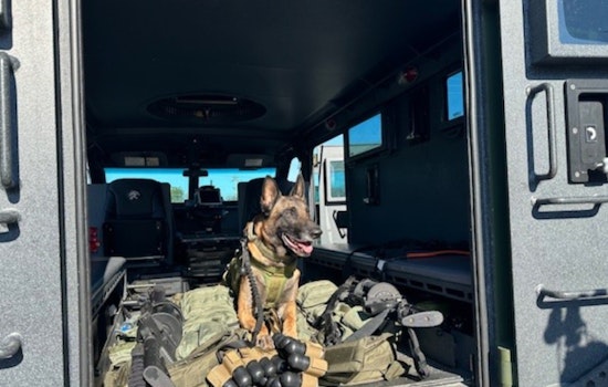 Rutherford County Sheriff's Office Honors K9 Units on National Police K9 Day