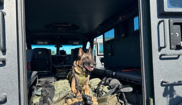 Rutherford County Sheriff's Office Honors K9 Units on National Police K9 Day