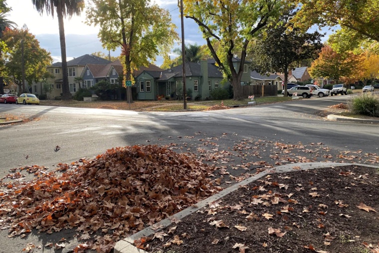 Sacramento Gears Up for Annual "Leaf Season" Collection, Reminds Residents to Hold Off on Early Waste Piling