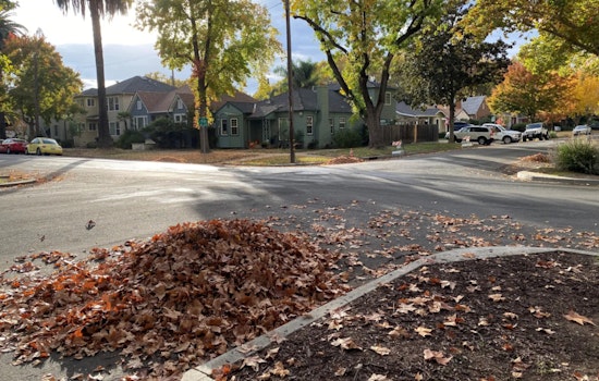 Sacramento Gears Up for Annual "Leaf Season" Collection, Reminds Residents to Hold Off on Early Waste Piling