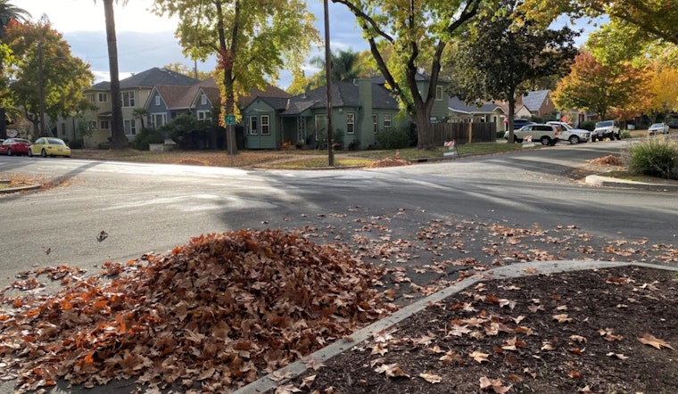 Sacramento Gears Up for Annual "Leaf Season" Collection, Reminds Residents to Hold Off on Early Waste Piling