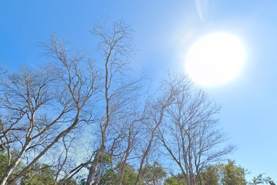 San Antonio Preps for Heat Wave and Potential Thunderstorms Amid Variable Weather Forecast