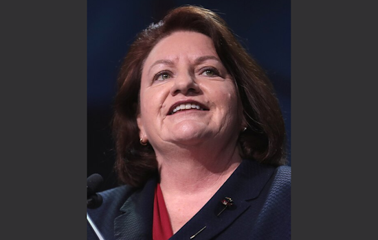 San Diego's Toni Atkins Ends Bid for California Governor, Pledges Ongoing Political Advocacy
