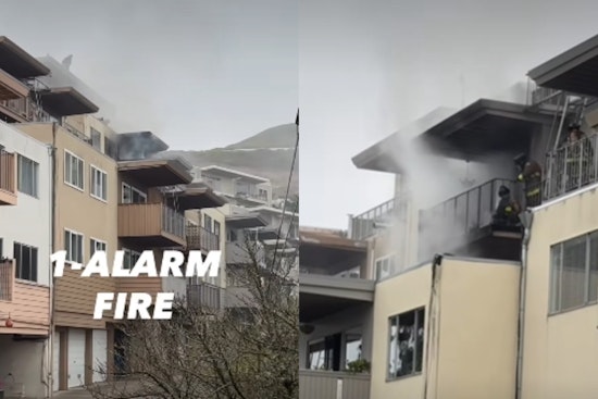 San Francisco Firefighters Respond to Blaze at Crestline Avenue Apartment Complex; No Residents Injured, One Dog Lost
