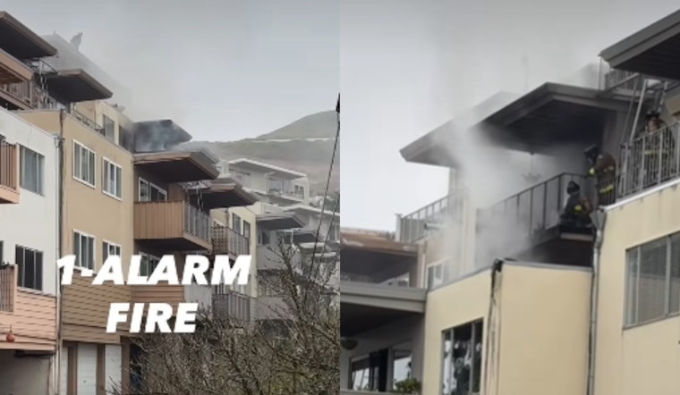 San Francisco Firefighters Respond to Blaze at Crestline Avenue Apartment Complex; No Residents Injured, One Dog Lost