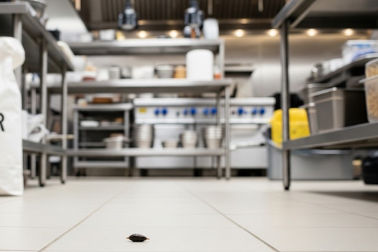 Rodent Droppings Found Throughout Popular Downtown Chicken Joint, Reopened Four Days Later