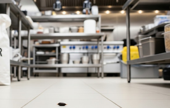 Rodent Droppings Found Throughout Popular Downtown Chicken Joint, Reopened Four Days Later