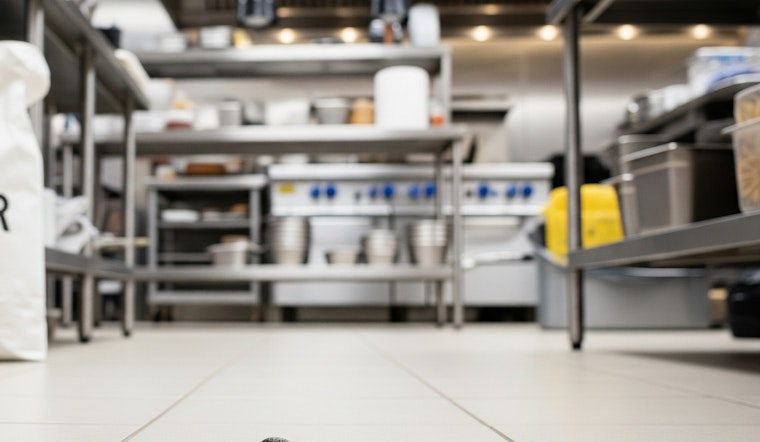 Rodent Droppings Found Throughout Popular Downtown Chicken Joint, Reopened Four Days Later