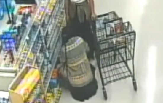 San Ramon Police Nab Two Suspects Charged With Multiple Felonies in Bay Area Safeway Theft Spree