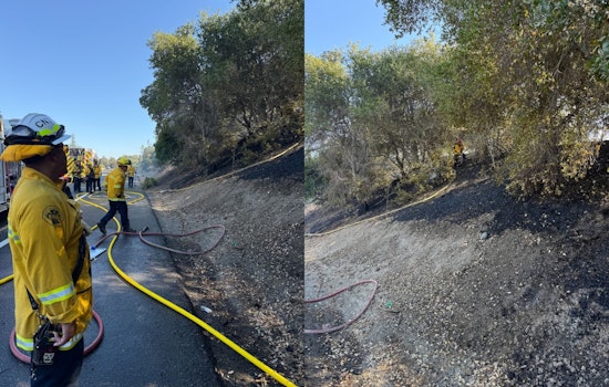 Santa Clara County Firefighters Quickly Subdue Brush Fire by I-280 in Los Altos Hills