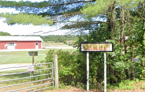 Sauchuk Farm's Corn Maze Tribute to Massachusetts' 250th Anniversary