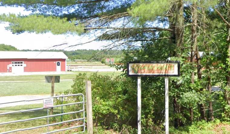 Sauchuk Farm's Corn Maze Tribute to Massachusetts' 250th Anniversary