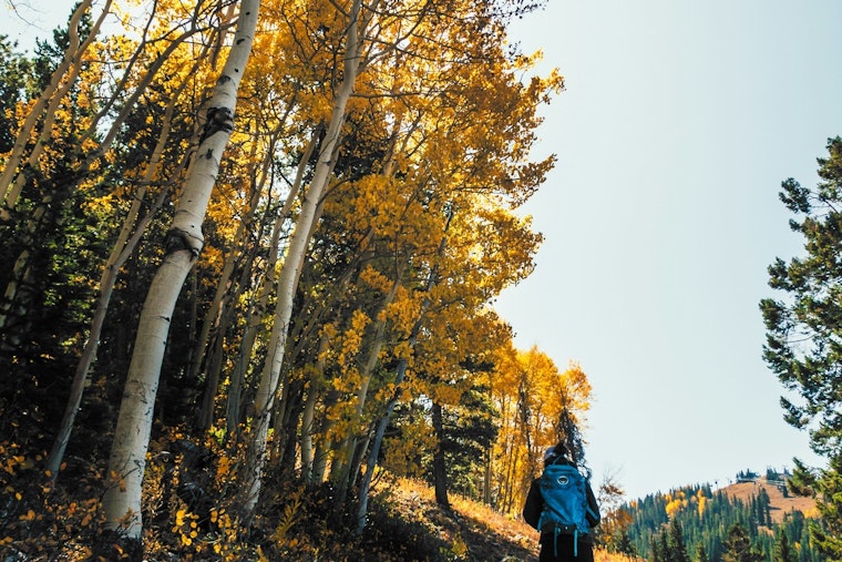 Scott County Launches Fall Hiking Club at Cleary Lake Regional Park: Embrace Autumn Splendor with Guided Weekly Hikes