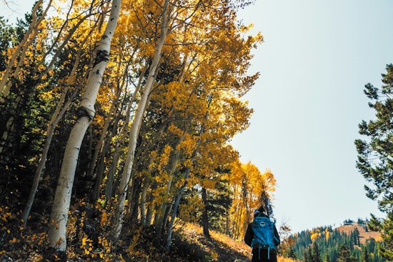 Scott County Launches Fall Hiking Club at Cleary Lake Regional Park: Embrace Autumn Splendor with Guided Weekly Hikes