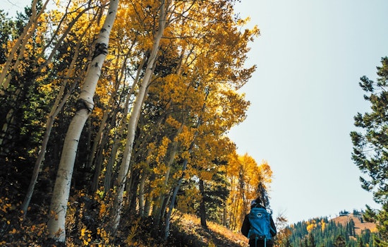 Scott County Launches Fall Hiking Club at Cleary Lake Regional Park: Embrace Autumn Splendor with Guided Weekly Hikes