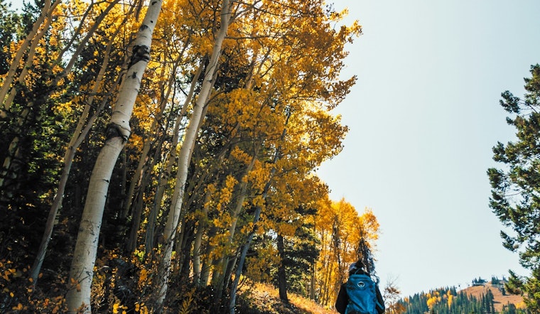 Scott County Launches Fall Hiking Club at Cleary Lake Regional Park: Embrace Autumn Splendor with Guided Weekly Hikes