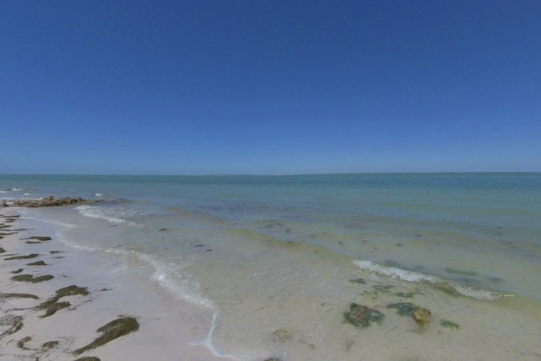 Search Intensifies for Missing 20-Year-Old Swimmer off Anna Maria Island's Bean Point Beach