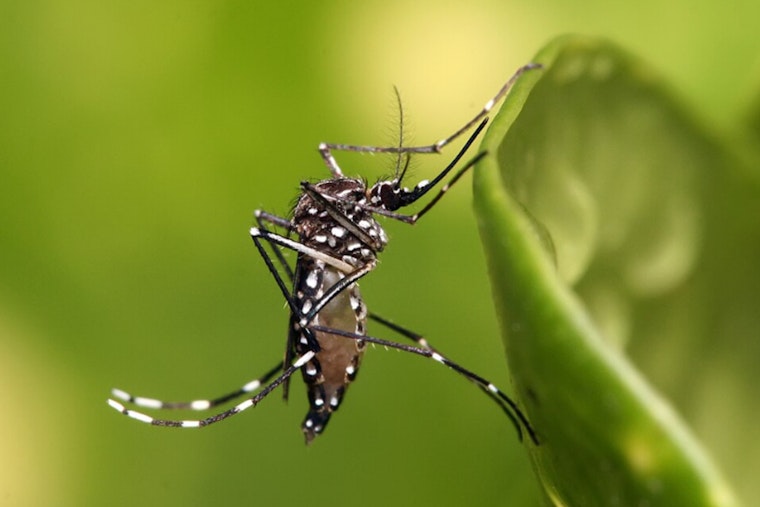 Shelby County Health Department Ramps Up Mosquito Control to Combat West Nile Virus Outbreak