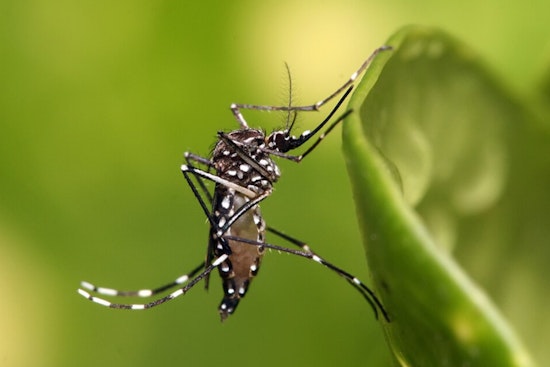 Shelby County Health Department Ramps Up Mosquito Control to Combat West Nile Virus Outbreak