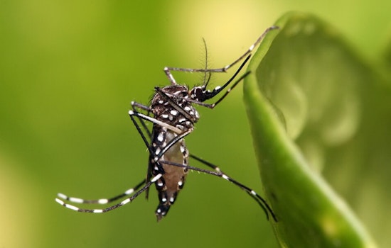 Shelby County Health Department Ramps Up Mosquito Control to Combat West Nile Virus Outbreak