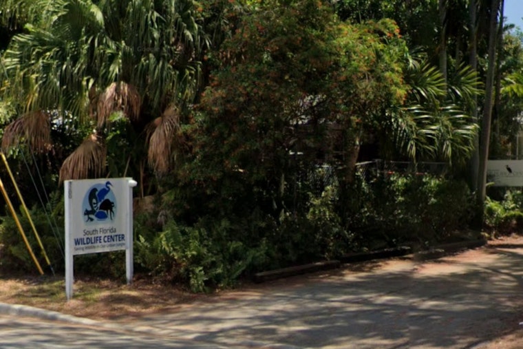 South Florida Wildlife Center Set for Growth with Relocation to Southwest Ranches from Fort Lauderdale