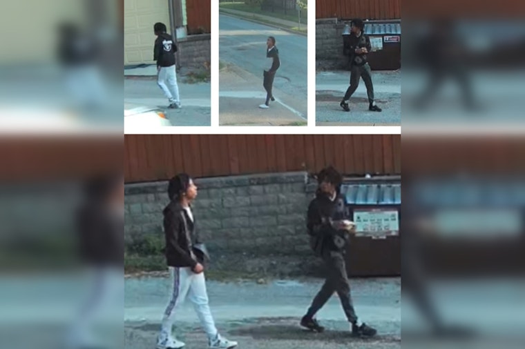 St. Louis Metropolitan Police Seek Public's Aid in Identifying Suspects in Elderly Woman's Robbery Case