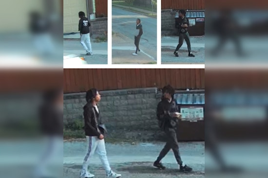 St. Louis Metropolitan Police Seek Public's Aid in Identifying Suspects in Elderly Woman's Robbery Case