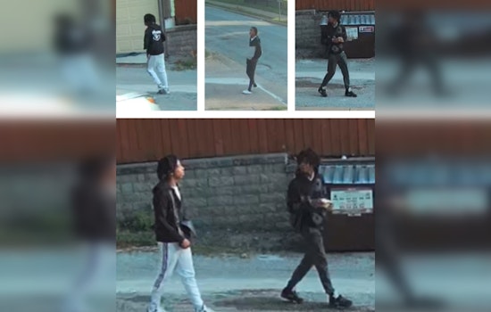 St. Louis Metropolitan Police Seek Public's Aid in Identifying Suspects in Elderly Woman's Robbery Case