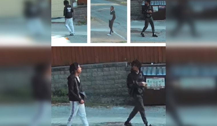 St. Louis Metropolitan Police Seek Public's Aid in Identifying Suspects in Elderly Woman's Robbery Case