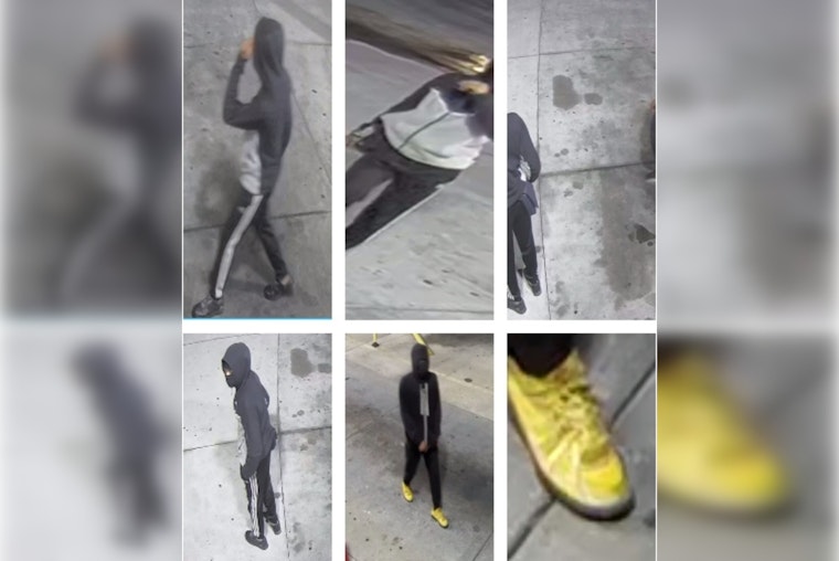 St. Louis Police Appeal for Help to Identify Suspects in Early-Morning Carjacking on MLK Drive