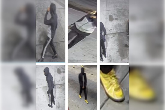 St. Louis Police Appeal for Help to Identify Suspects in Early-Morning Carjacking on MLK Drive