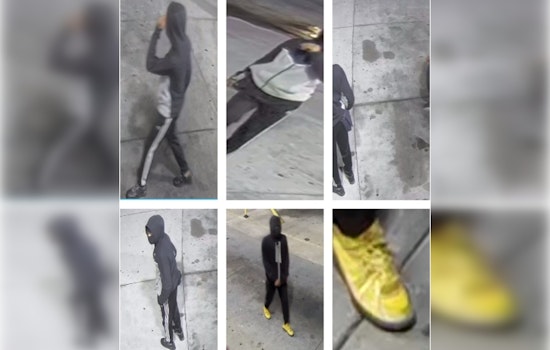 St. Louis Police Appeal for Help to Identify Suspects in Early-Morning Carjacking on MLK Drive