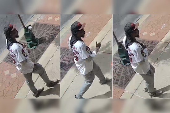 St. Louis Police Seek Help Identifying Suspect in Theft Affecting Wheelchair-Bound Victim on Washington Avenue