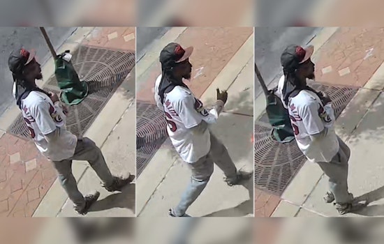 St. Louis Police Seek Help Identifying Suspect in Theft Affecting Wheelchair-Bound Victim on Washington Avenue