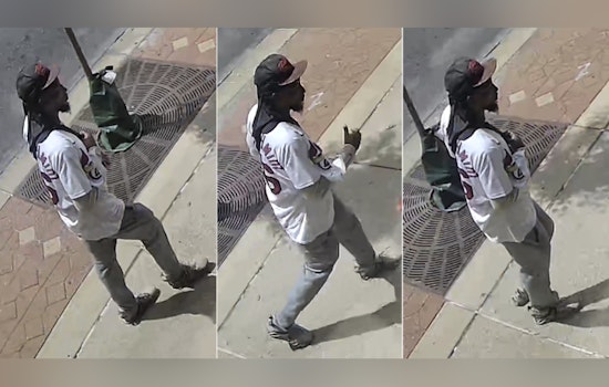 St. Louis Police Seek Public's Help to Identify Suspect in Theft from Wheelchair-Bound Victim on Washington Avenue