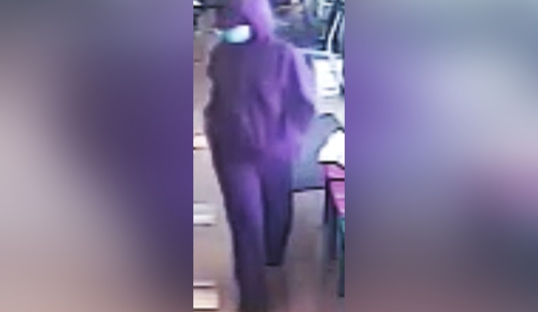 St. Louis Police Seek Suspect after Woman Injured in Knife-Point Robbery in Dutchtown