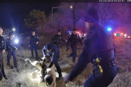 Sterling Heights Officers to Face Trial for Felonious Assault, Misconduct During Arrest